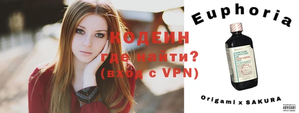 амф Новозыбков