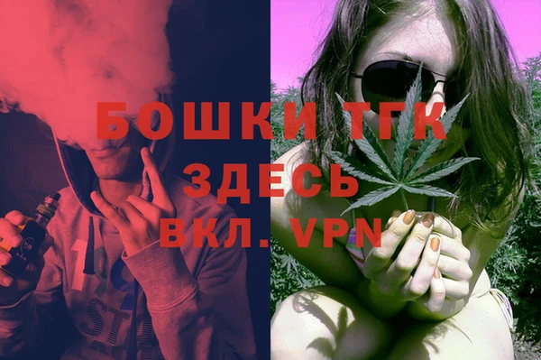 амф Новозыбков