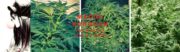 амф Новозыбков