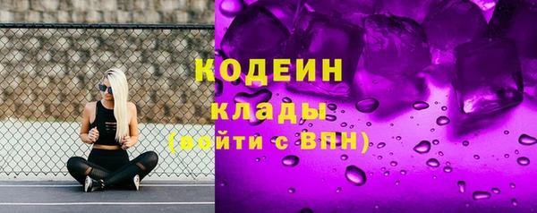 мдпв Козельск