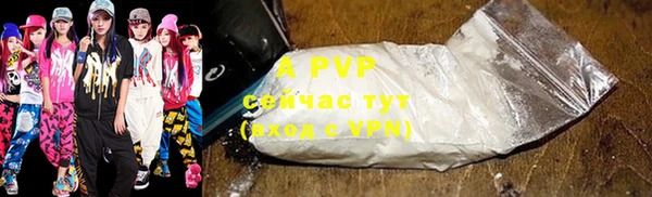 хмурый Нея
