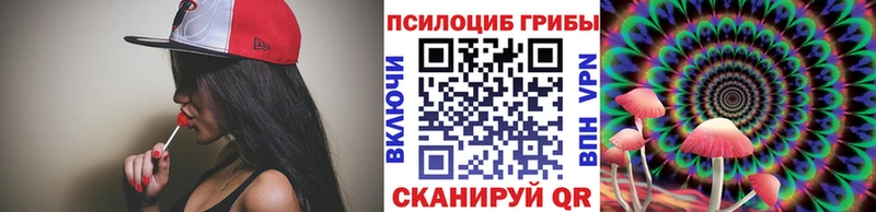 Галлюциногенные грибы мицелий  где купить наркоту  Кологрив 